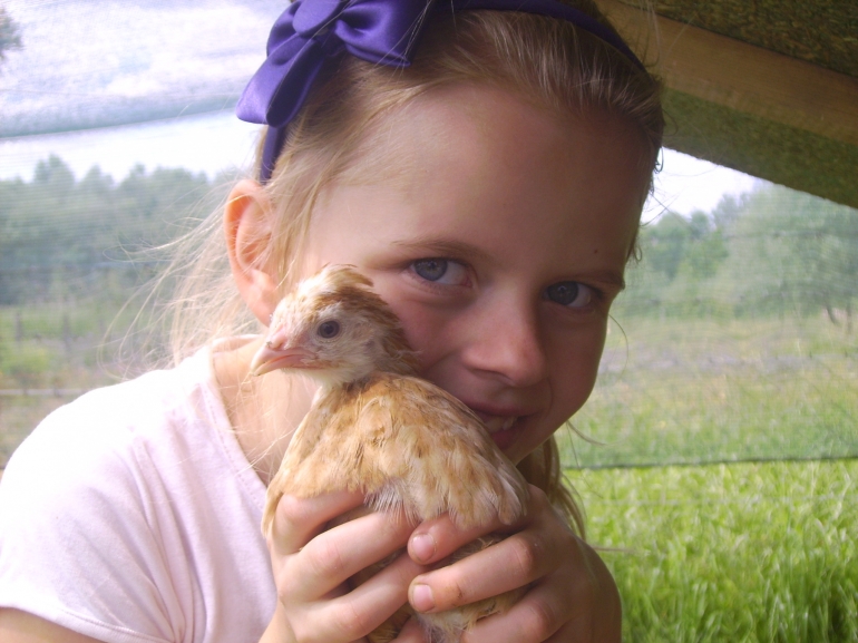 On 02.07.2014 / By Ewald Spitaler / Tags Course certificate - Henbreeding - Livestock - 14302040747